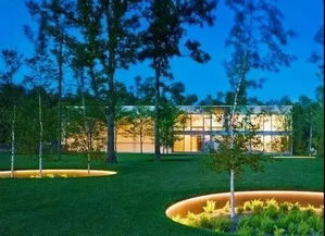 植物遇上燈光 不一樣的夜間風(fēng)情與旅游開發(fā)項(xiàng)目策劃