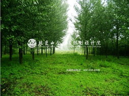 王院長(zhǎng)帶隊(duì)赴河北平山縣生態(tài)莊園，開啟鄉(xiāng)村旅游規(guī)劃新篇章